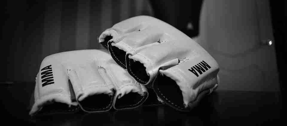 Best MMA Gloves Featured Image